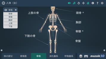 人体 (女)インタラクティブな教育用3D スクリーンショット 2