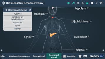 Menselijk lichaam (vrouw) interactieve 3D-poster