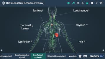 Menselijk lichaam (vrouw) interactieve 3D screenshot 1