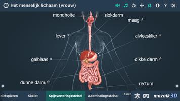 Menselijk lichaam (vrouw) interactieve 3D screenshot 2