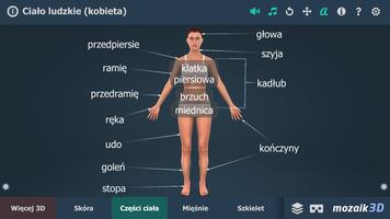 Ciało ludzkie (kobieta) edukacja 3D VR plakat