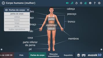 Corpo humano (mulher) 3D educacional RV imagem de tela 1