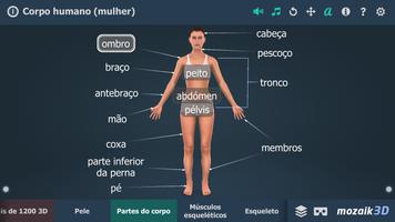 Corpo humano (mulher) 3D educacional RV imagem de tela 2