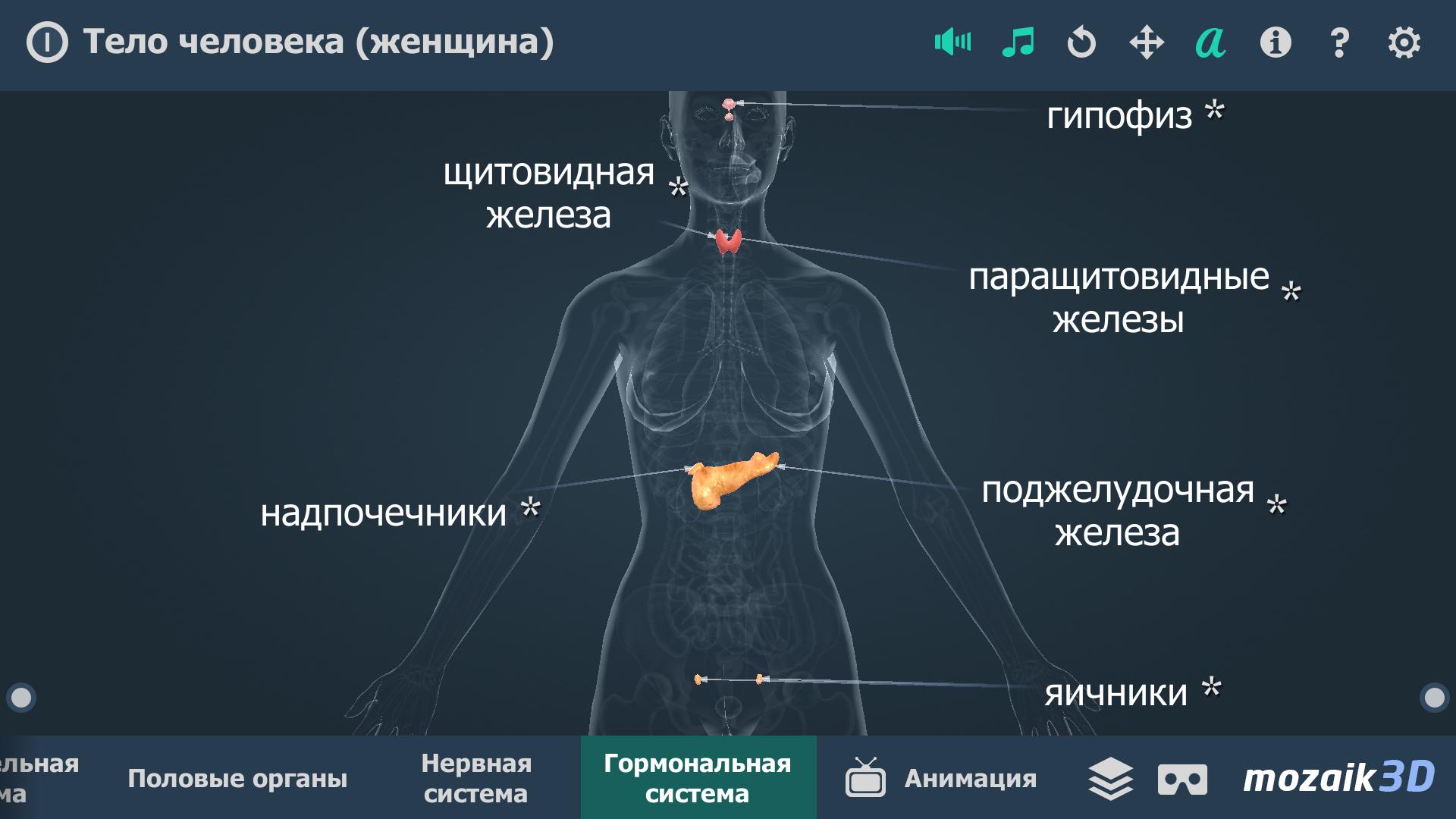 Тело управляет человеком. Тело человека женщина интерактивное. Скриншот организма. Тело человека. Виртуальная реальность | Джонсон Маркус ajnj. Интерактивная игра тело человека.