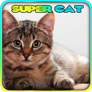 Super Cat 3D APK