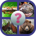 EduApp Guess What : ANIMALS ikon