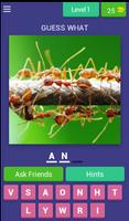 EduApp Guess What : ANIMALS Affiche
