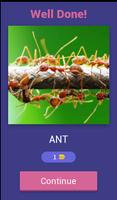 EduApp Guess What : ANIMALS capture d'écran 1