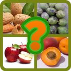 EduApp Guess What : FRUITS иконка