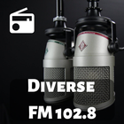 Diverse FM 102.8 图标