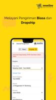 ResellerDropship.com скриншот 2