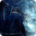 Resident Evil 4 Game Tips