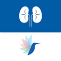 Responsum for CKD