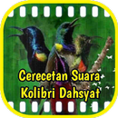 Kicau Cerecetan Kolibri Dahsyat APK