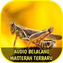 Audio Master Belalang Offline Terbaru APK