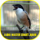 Audio Master Cendet Juara Offline APK
