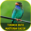 Kicau Burung Tengkek Gacor APK