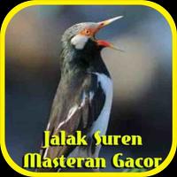 Jalak Suren Masteran Gacor পোস্টার