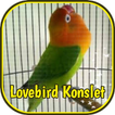 Lovebird Konslet Ngekek Juara