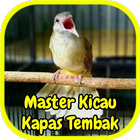Master Kicau Kapas Tembak icône