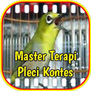 Master Terapi Pleci Kontes APK