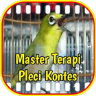 Master Terapi Pleci Kontes ícone