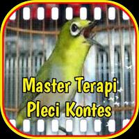 Master Terapi Pleci Kontes Cartaz