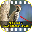 Masteran Burung Suara Nembak APK