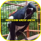 Masteran Kacer Gacor icon