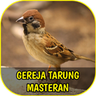 Suara Gereja Tarung Masteran ไอคอน