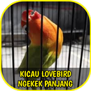 Suara Lovebird Ngekek Panjang Offline APK