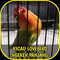 Kicau Lovebird Ngekek Panjang โปสเตอร์