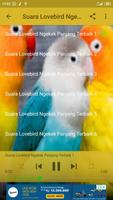 Suara Lovebird Ngekek Panjang imagem de tela 3