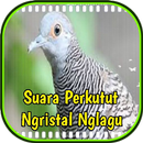 Suara Perkutut Ngristal Nglagu APK