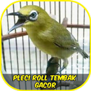 Pleci Roll Tembak Gacor Ofline APK