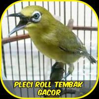 Pleci Roll Tembak Gacor ポスター