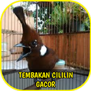 Tembakan Cililin Gacor Offline APK