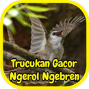 Trucukan Gacor Ngerol Ngebren APK