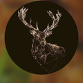 Golden Deer