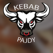 Icona Kebab u Pajdy Kraków