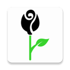 Black Rose icône