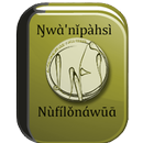DICTIONNAIRE NUFI-FRANC-FREE APK