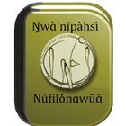 DICTIONNAIRE NUFI-FRANC-FREE icône
