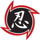 Repo Ninja icône