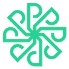 Polaris icon