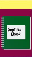 Espèce de reptile Affiche