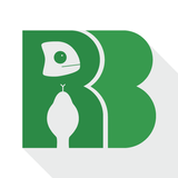 Reptile Buddy أيقونة
