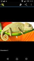 Reptiles & Frogs capture d'écran 1