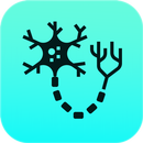 APK Concise Physiology: Human Body