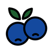 Huckleberry Social